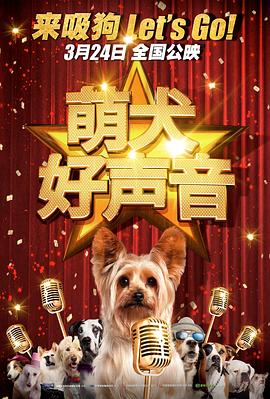 新来的员工